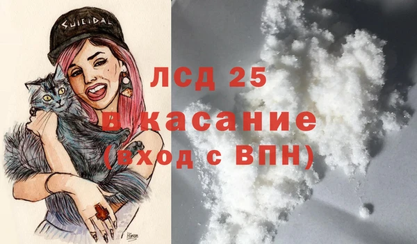 прущие крисы Аркадак