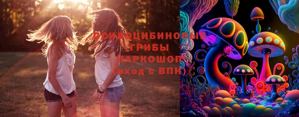 mix Арсеньев